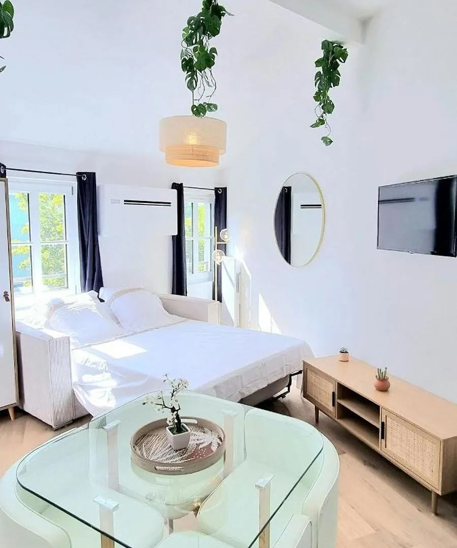Appartement Arizona Dream - T1 Bis Climatise 4P Wifi à Toulouse 0*,  France